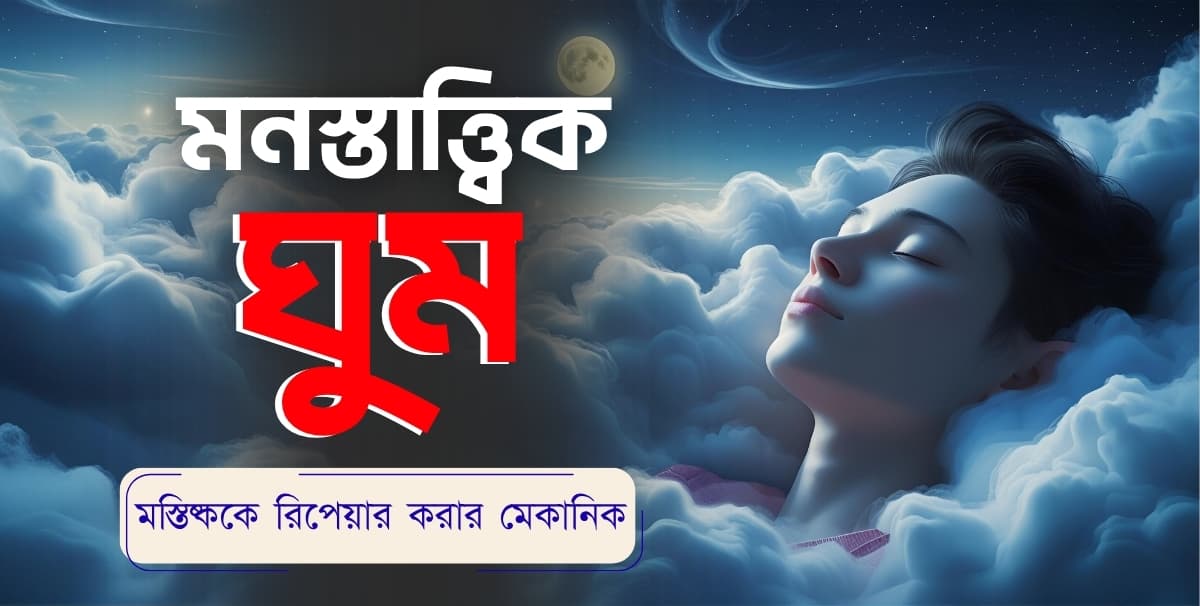 ঘুম : মস্তিষ্ককে রিপেয়ার করার মেকানিক